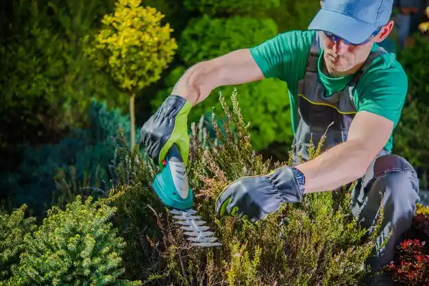 landscaping services Golf Manor